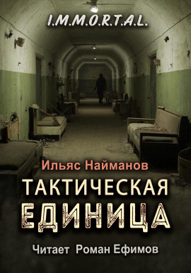 Тактическая единица - Ильяс Найманов - современные аудиокниги попаданцы мр3 слушать на лучшем сайте booksaudio-online.com