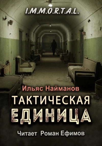 Тактическая единица - Ильяс Найманов - современные аудиокниги попаданцы мр3 слушать на лучшем сайте booksaudio-online.com