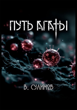 Путь Агаты - Владимир Сулимов - современные аудиокниги попаданцы мр3 слушать на лучшем сайте booksaudio-online.com
