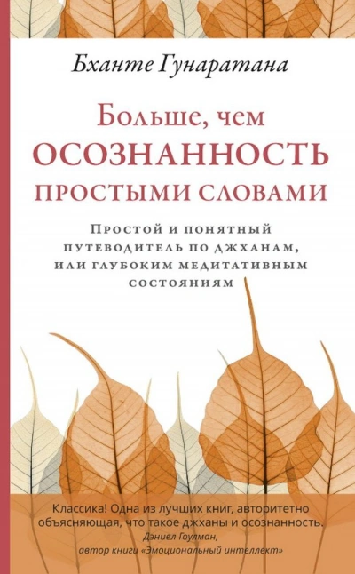 Больше, чем осознанность простыми словами. Простой и понятный путеводитель по джханам, или глубоким - Бханте Хенепола Гунаратана - современные аудиокниги попаданцы мр3 слушать на лучшем сайте booksaudio-online.com