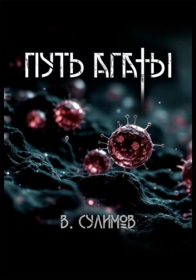 Путь Агаты - Владимир Сулимов - современные аудиокниги попаданцы мр3 слушать на лучшем сайте booksaudio-online.com