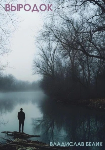 Выродок - Владислав Белик - современные аудиокниги попаданцы мр3 слушать на лучшем сайте booksaudio-online.com