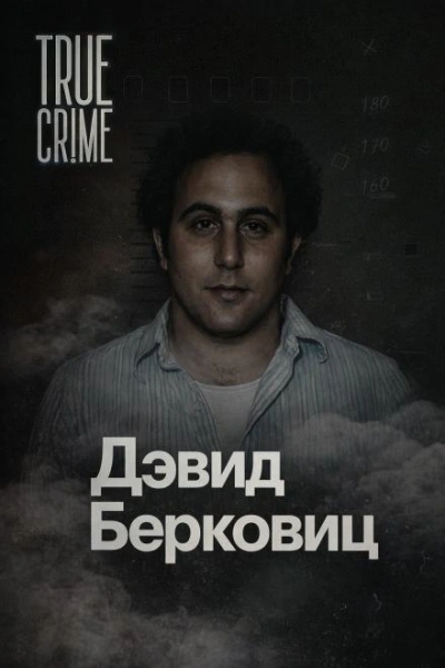 Письма, которые взорвали город - современные аудиокниги попаданцы мр3 слушать на лучшем сайте booksaudio-online.com