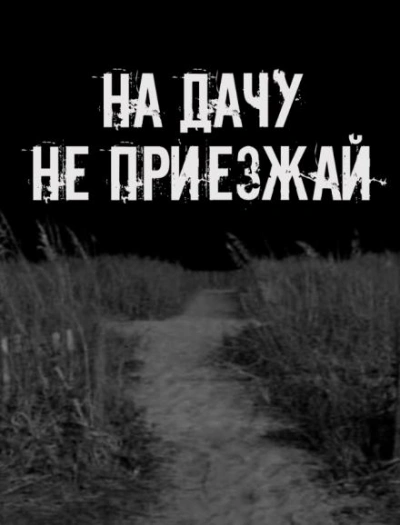 На дачу не приезжай! - современные аудиокниги попаданцы мр3 слушать на лучшем сайте booksaudio-online.com