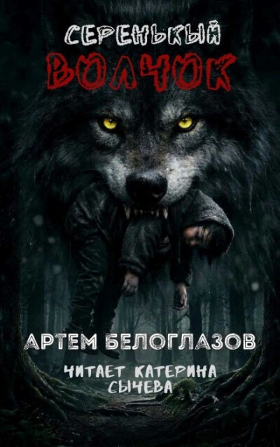 Серенькый волчок - Артём Белоглазов - современные аудиокниги попаданцы мр3 слушать на лучшем сайте booksaudio-online.com