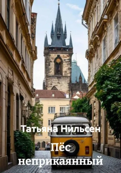 Пёс неприкаянный - Татьяна Нильсен - современные аудиокниги попаданцы мр3 слушать на лучшем сайте booksaudio-online.com