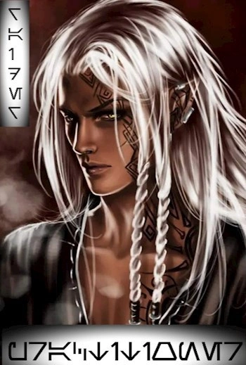 Практик - Рейдер - современные аудиокниги попаданцы мр3 слушать на лучшем сайте booksaudio-online.com