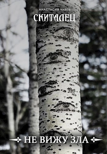 Не вижу зла - Анастасия Князь - современные аудиокниги попаданцы мр3 слушать на лучшем сайте booksaudio-online.com