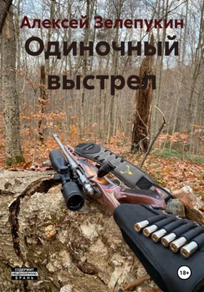 Одиночный выстрел - Алексей Зелепукин - современные аудиокниги попаданцы мр3 слушать на лучшем сайте booksaudio-online.com