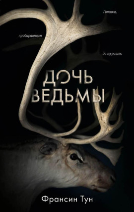 Дочь ведьмы - Тун Франсин - современные аудиокниги попаданцы мр3 слушать на лучшем сайте booksaudio-online.com