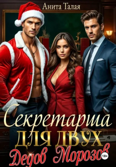 Секретарша для двух Дедов Морозов - Анита Талая - современные аудиокниги попаданцы мр3 слушать на лучшем сайте booksaudio-online.com