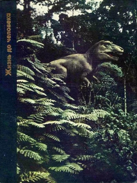 Жизнь до человека - Питер Вуд - современные аудиокниги попаданцы мр3 слушать на лучшем сайте booksaudio-online.com