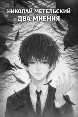 Два мнения - Николай Метельский - современные аудиокниги попаданцы мр3 слушать на лучшем сайте booksaudio-online.com