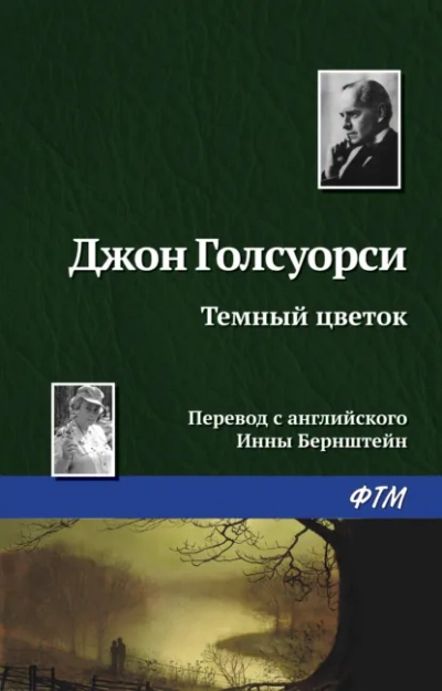 Темный Цветок - Джон Голсуорси - современные аудиокниги попаданцы мр3 слушать на лучшем сайте booksaudio-online.com
