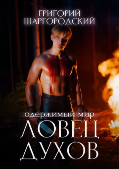 Ловец духов - Григорий Шаргородский - современные аудиокниги попаданцы мр3 слушать на лучшем сайте booksaudio-online.com