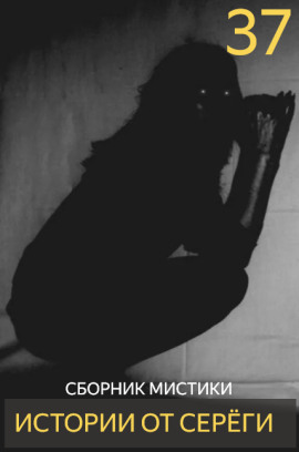 Истории от Серёги №37 - Автор неизвестен - современные аудиокниги попаданцы мр3 слушать на лучшем сайте booksaudio-online.com
