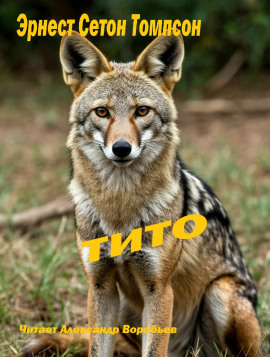 Тито - Эрнест Сетон-Томпсон - современные аудиокниги попаданцы мр3 слушать на лучшем сайте booksaudio-online.com