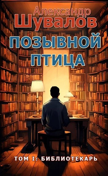 Библиотекарь - Александр Шувалов - современные аудиокниги попаданцы мр3 слушать на лучшем сайте booksaudio-online.com