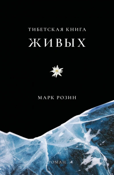 Тибетская книга живых - Розин Марк - современные аудиокниги попаданцы мр3 слушать на лучшем сайте booksaudio-online.com