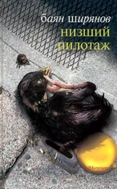 Низший Пилотаж - Баян Ширянов - современные аудиокниги попаданцы мр3 слушать на лучшем сайте booksaudio-online.com