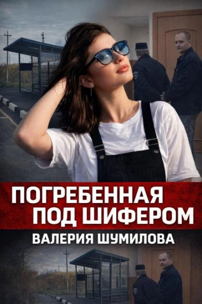 Последний вызов до дома - современные аудиокниги попаданцы мр3 слушать на лучшем сайте booksaudio-online.com