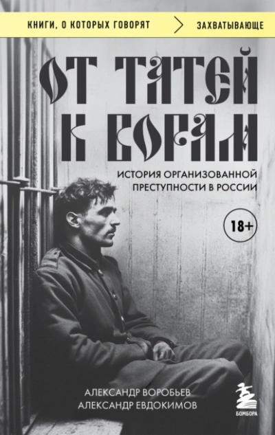 От татей к ворам. История организованной преступности в России - Александр Воробьев, Александр Евдокимов - современные аудиокниги попаданцы мр3 слушать на лучшем сайте booksaudio-online.com