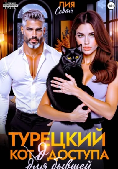 Турецкий код доступа для бывшей - Лия Седая - современные аудиокниги попаданцы мр3 слушать на лучшем сайте booksaudio-online.com