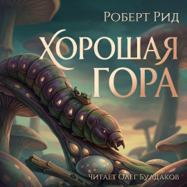 Хорошая гора - Роберт Рид - современные аудиокниги попаданцы мр3 слушать на лучшем сайте booksaudio-online.com