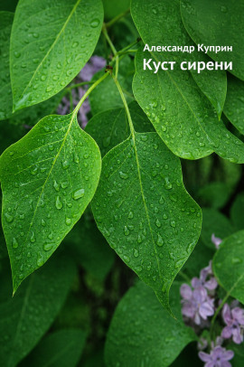 Куст сирени - Александр Куприн - современные аудиокниги попаданцы мр3 слушать на лучшем сайте booksaudio-online.com