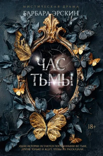 Час тьмы - Барбара Эрскин - современные аудиокниги попаданцы мр3 слушать на лучшем сайте booksaudio-online.com