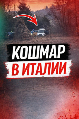 Чемодан среди леса - Автор неизвестен - современные аудиокниги попаданцы мр3 слушать на лучшем сайте booksaudio-online.com