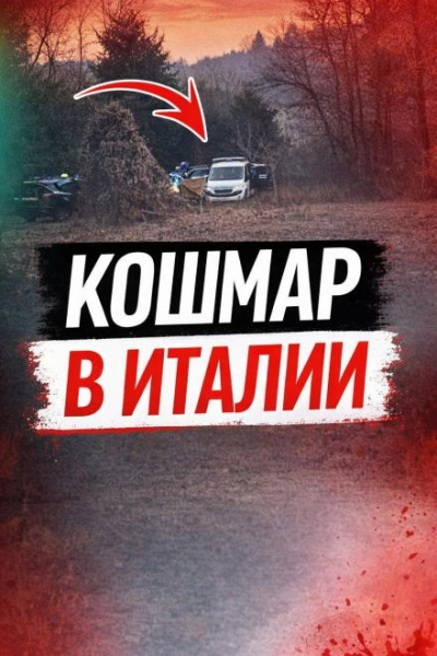 Чемодан среди леса - современные аудиокниги попаданцы мр3 слушать на лучшем сайте booksaudio-online.com