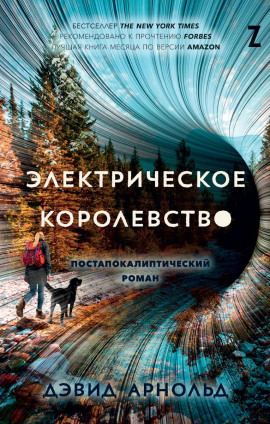 Электрическое королевство - Дэвид Арнольд - современные аудиокниги попаданцы мр3 слушать на лучшем сайте booksaudio-online.com