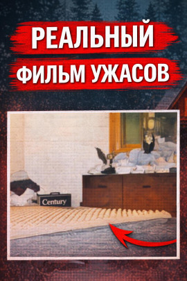 Восемь лет без ответа - Автор неизвестен - современные аудиокниги попаданцы мр3 слушать на лучшем сайте booksaudio-online.com
