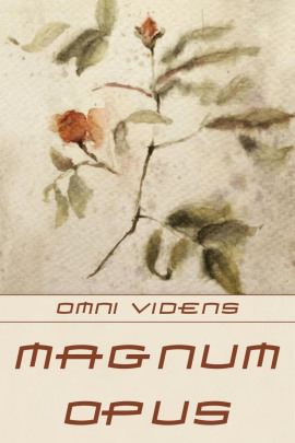 Magnum opus - Omni Videns - современные аудиокниги попаданцы мр3 слушать на лучшем сайте booksaudio-online.com
