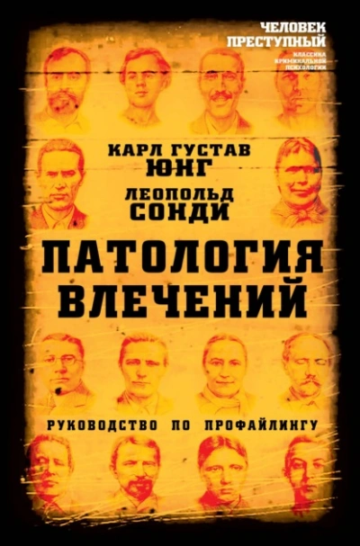 Патология влечений. Руководство по профайлингу - Юнг Карл, Леопольд Сонди - современные аудиокниги попаданцы мр3 слушать на лучшем сайте booksaudio-online.com