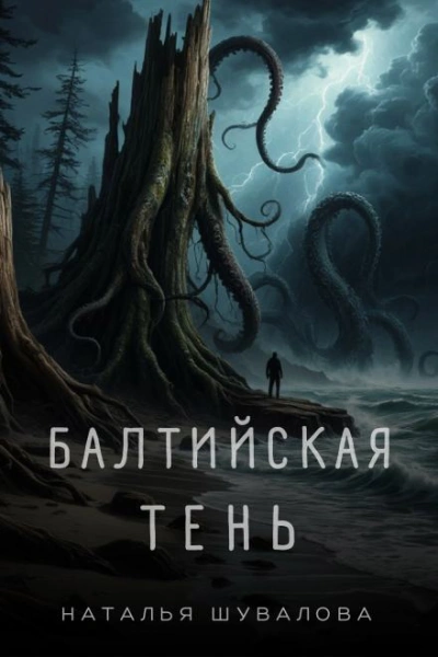 Балтийская тень - Наталья Шувалова - современные аудиокниги попаданцы мр3 слушать на лучшем сайте booksaudio-online.com