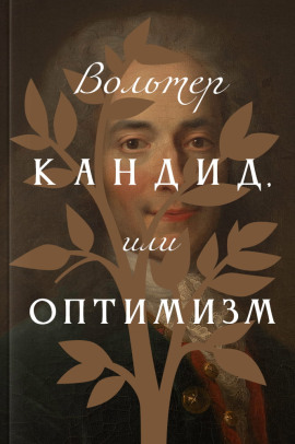 Кандид, или Оптимизм - Вольтер - современные аудиокниги попаданцы мр3 слушать на лучшем сайте booksaudio-online.com