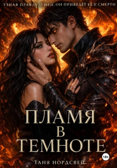 Пламя в темноте - Таня Нордсвей - современные аудиокниги попаданцы мр3 слушать на лучшем сайте booksaudio-online.com