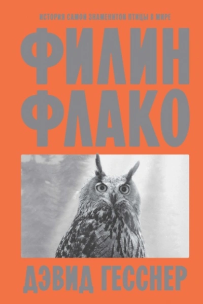 Филин Флако. История самой знаменитой птицы в мире - Дэвид Гесснер - современные аудиокниги попаданцы мр3 слушать на лучшем сайте booksaudio-online.com
