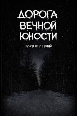 Дорога вечной юности - Пучок Перцепций - современные аудиокниги попаданцы мр3 слушать на лучшем сайте booksaudio-online.com