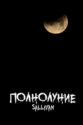 Полнолуние - Sallivan - современные аудиокниги попаданцы мр3 слушать на лучшем сайте booksaudio-online.com