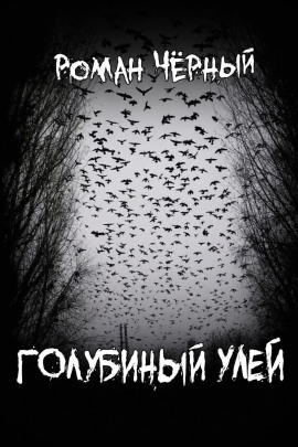 Голубиный улей - Роман Чёрный - современные аудиокниги попаданцы мр3 слушать на лучшем сайте booksaudio-online.com