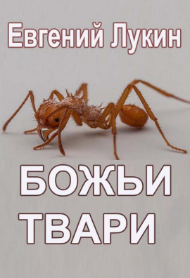 Божьи твари - Евгений Лукин - современные аудиокниги попаданцы мр3 слушать на лучшем сайте booksaudio-online.com