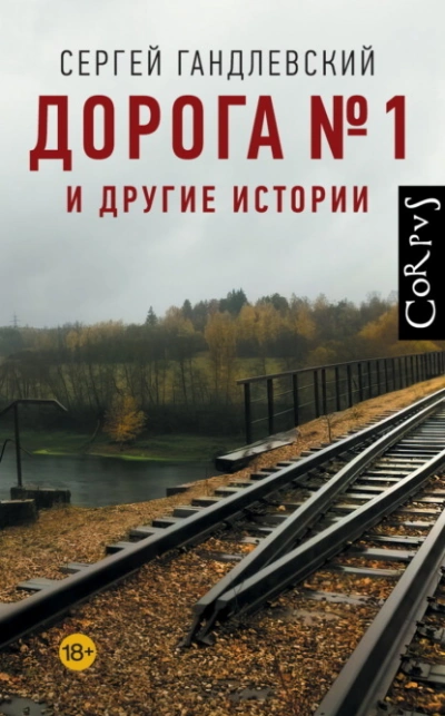 Дорога №1 и другие истории - Гандлевский Сергей - современные аудиокниги попаданцы мр3 слушать на лучшем сайте booksaudio-online.com
