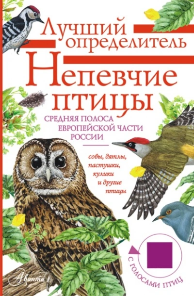 Непевчие птицы. Средняя полоса европейской части России. Определитель с голосами птиц - Архипов Владимир - современные аудиокниги попаданцы мр3 слушать на лучшем сайте booksaudio-online.com