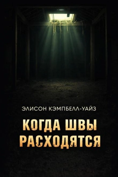 Когда швы расходятся - Уайз Э.К. - современные аудиокниги попаданцы мр3 слушать на лучшем сайте booksaudio-online.com