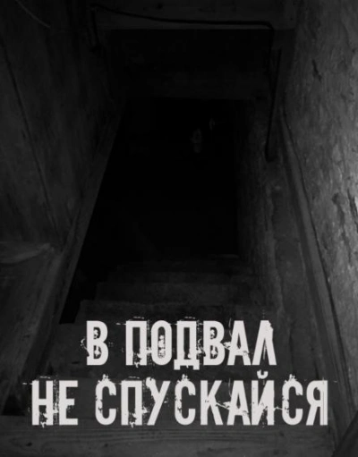 В подвал не спускайся - современные аудиокниги попаданцы мр3 слушать на лучшем сайте booksaudio-online.com