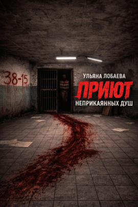 Приют неприкаянных душ - Ульяна Лобаева - современные аудиокниги попаданцы мр3 слушать на лучшем сайте booksaudio-online.com