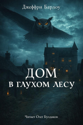 Дом в глухом лесу - Джеффри Барлоу - современные аудиокниги попаданцы мр3 слушать на лучшем сайте booksaudio-online.com